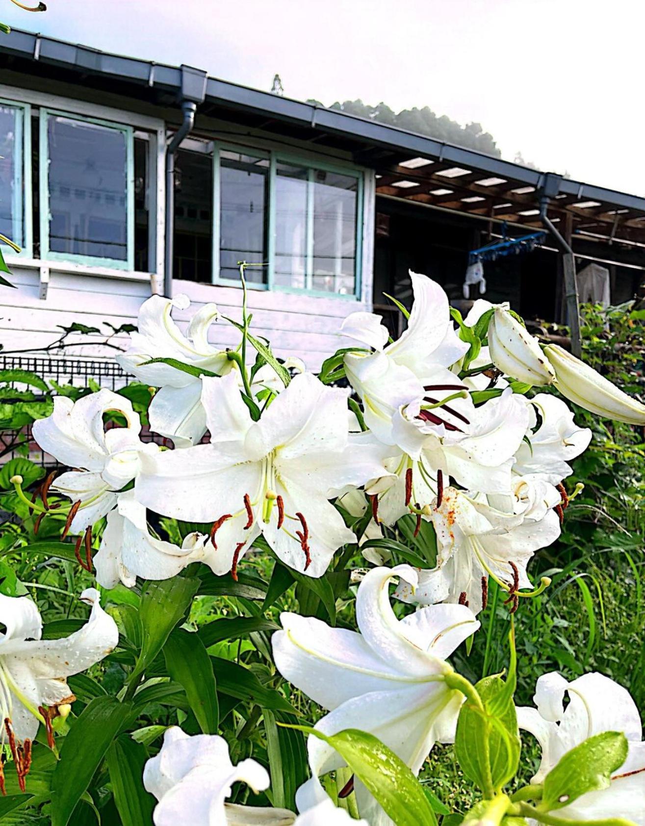 Homey Inn Enya Yufu Bagian luar foto